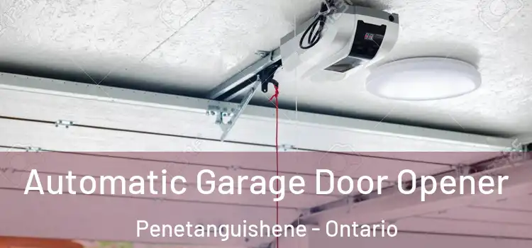 Automatic Garage Door Opener Penetanguishene - Ontario