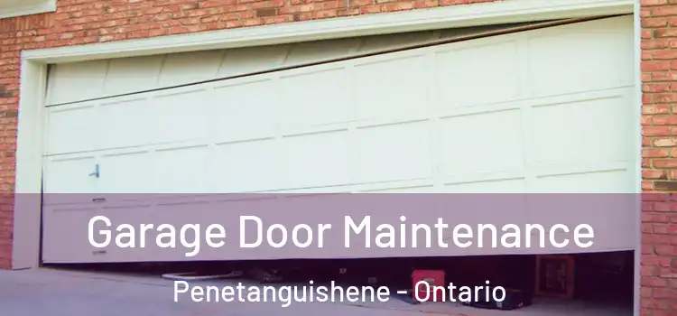 Garage Door Maintenance Penetanguishene - Ontario