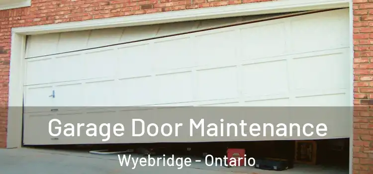 Garage Door Maintenance Wyebridge - Ontario