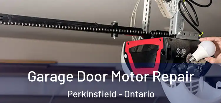 Garage Door Motor Repair Perkinsfield - Ontario