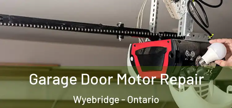 Garage Door Motor Repair Wyebridge - Ontario