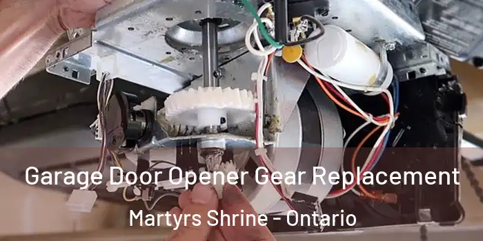 Garage Door Opener Gear Replacement Martyrs Shrine - Ontario