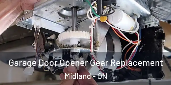 Garage Door Opener Gear Replacement Midland - ON