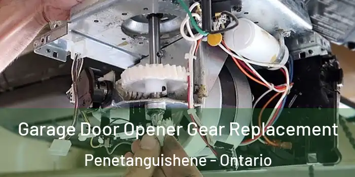 Garage Door Opener Gear Replacement Penetanguishene - Ontario