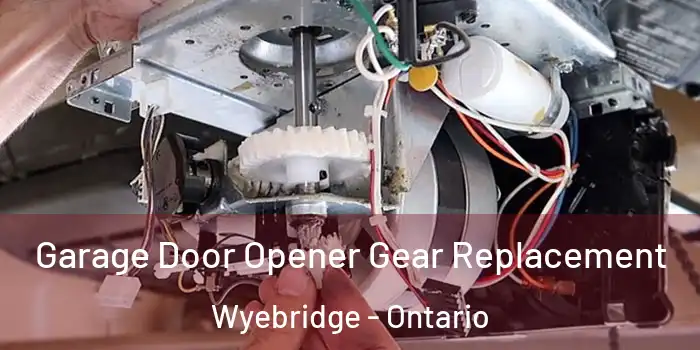 Garage Door Opener Gear Replacement Wyebridge - Ontario