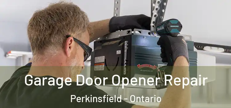 Garage Door Opener Repair Perkinsfield - Ontario