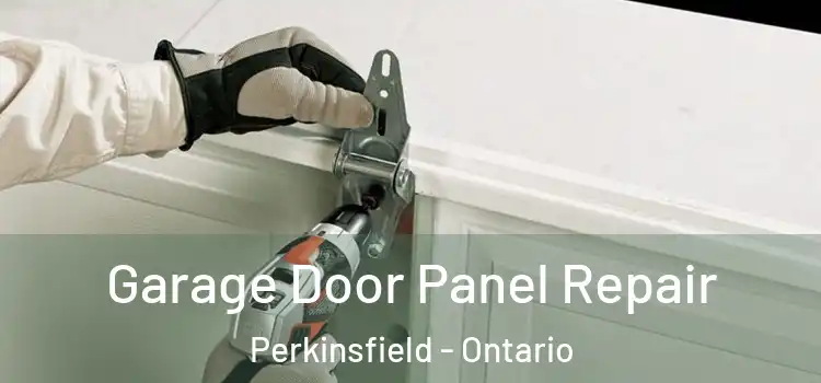Garage Door Panel Repair Perkinsfield - Ontario