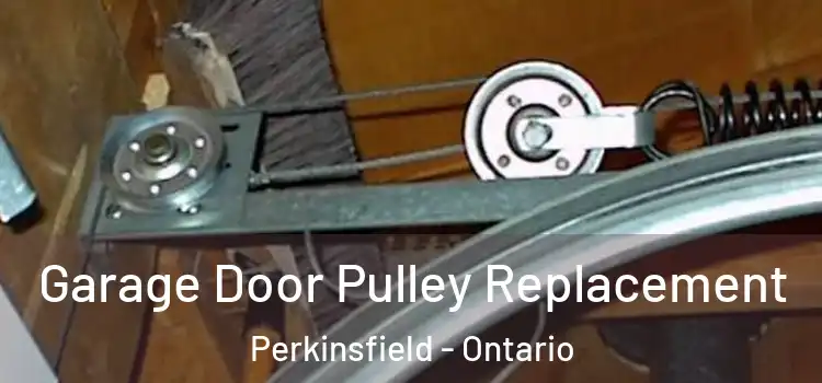 Garage Door Pulley Replacement Perkinsfield - Ontario