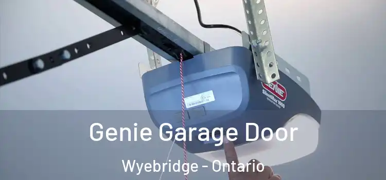 Genie Garage Door Wyebridge - Ontario