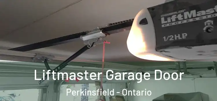Liftmaster Garage Door Perkinsfield - Ontario