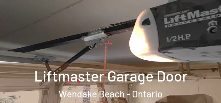 Liftmaster Garage Door Wendake Beach - Ontario