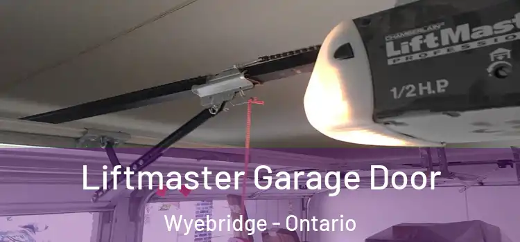 Liftmaster Garage Door Wyebridge - Ontario