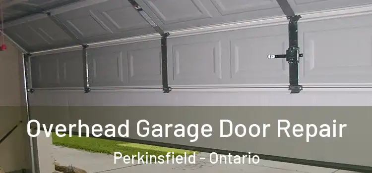 Overhead Garage Door Repair Perkinsfield - Ontario