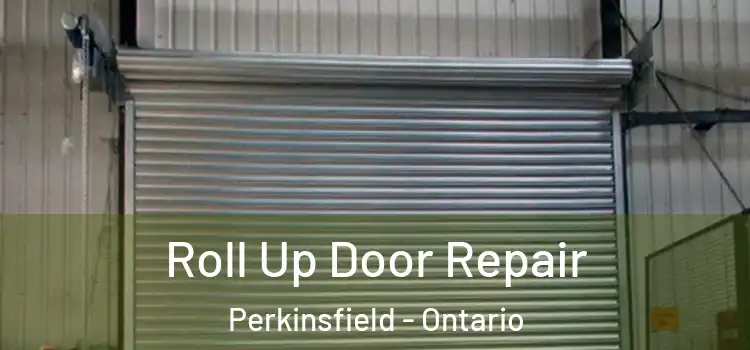 Roll Up Door Repair Perkinsfield - Ontario